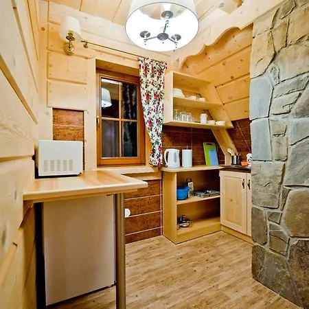 Salamandra Kościelisko